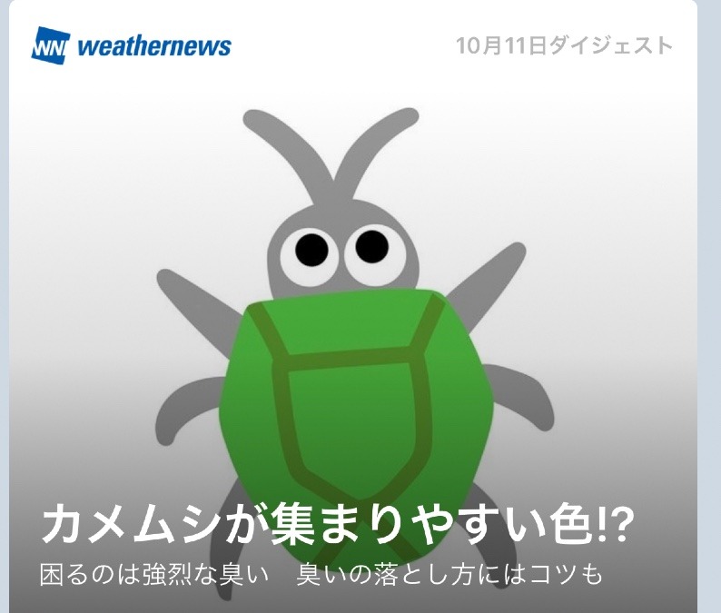 今年もカメムシの話題が❗️