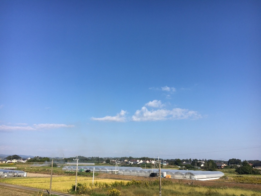 ⭕️空部→ 今日の空（≧∇≦）‼️883.