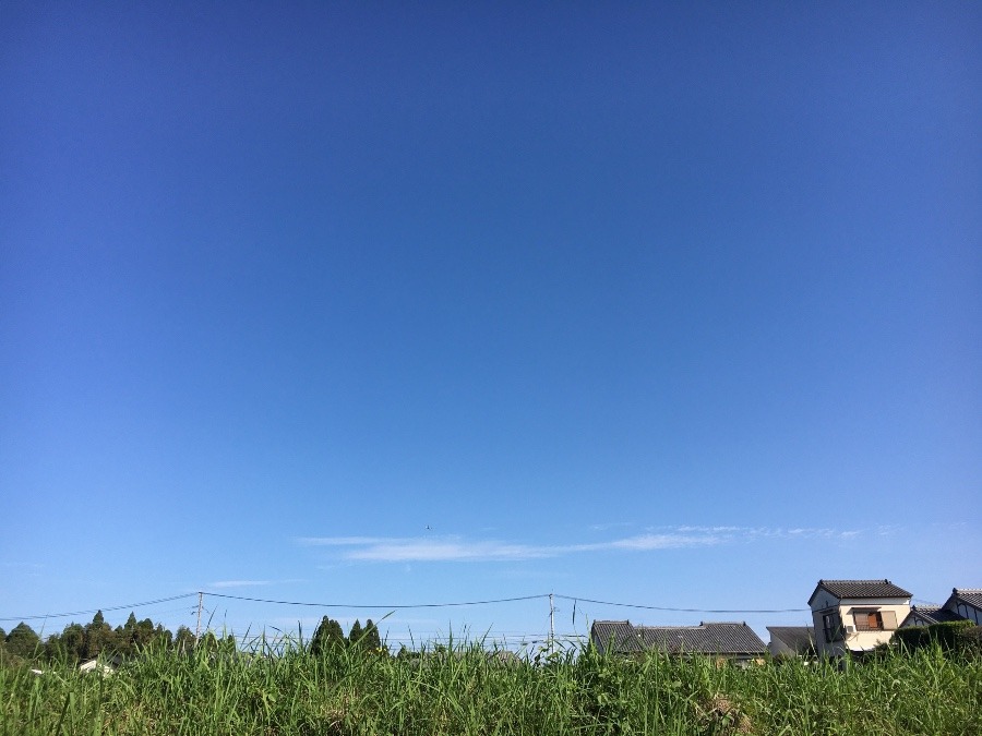 ⭕️空部→ 今日の空（≧∇≦）‼️856.