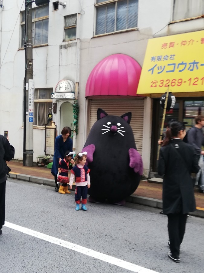 化け猫祭り？