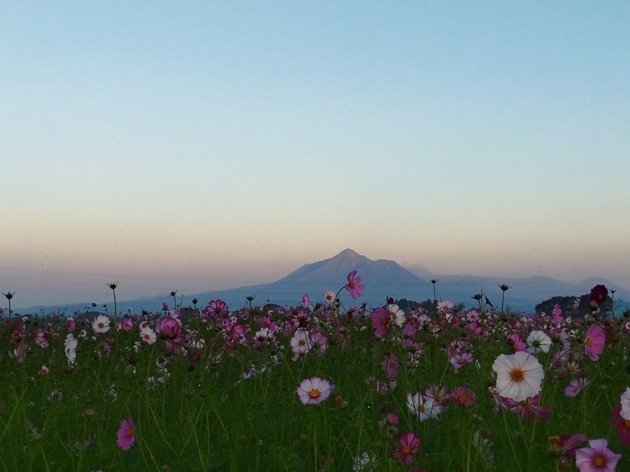 ふ都城市（2023/10/15）今日の霧島😊（西の空）