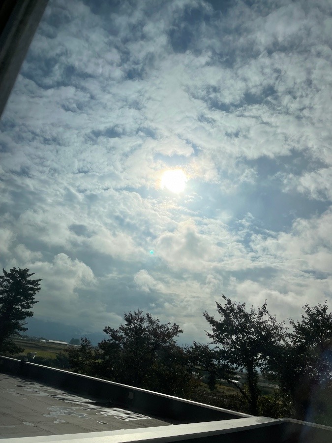 今朝の空