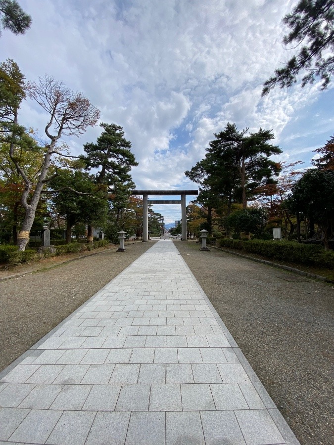 荘内神社⛩️