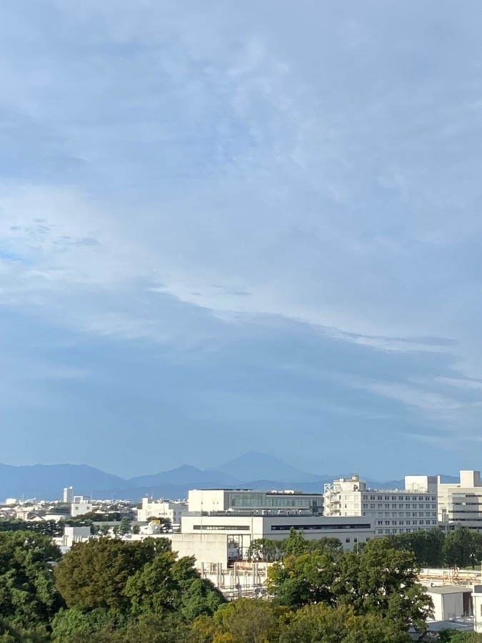 今朝の富士山