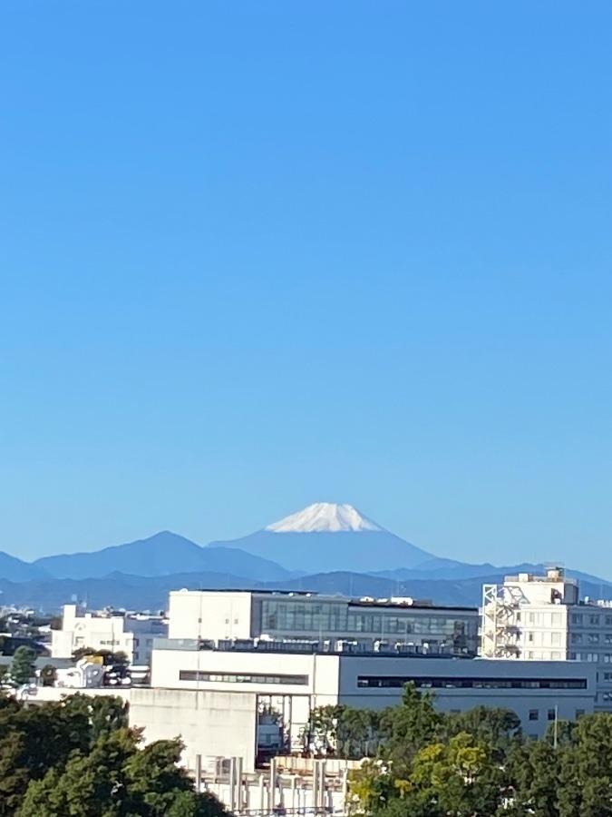 今朝の富士山は、雨上がりの朝にふさわしい白い帽子をかぶっています