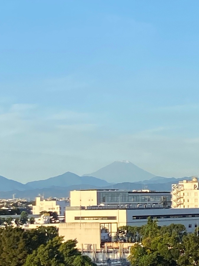 今朝の富士山