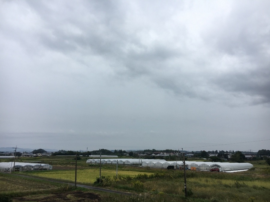 ⭕️空部→ 今日の空（≧∇≦）‼️874.