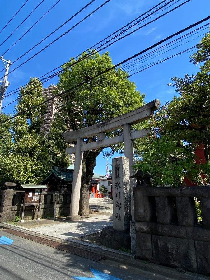 私の月初の行事　麻布氷川神社への参拝