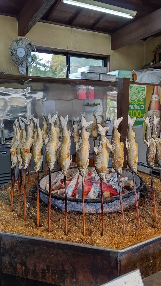 白鷹鮎茶屋🐟