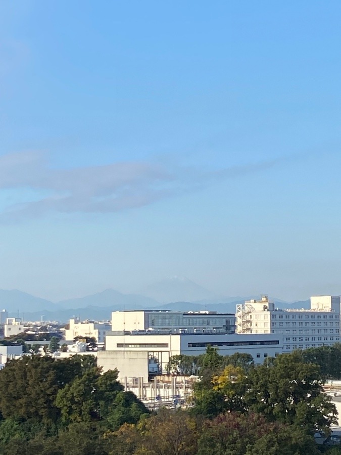 今朝の富士山