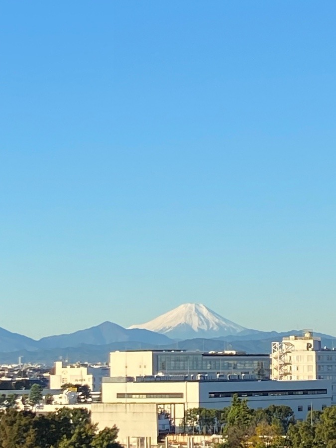 今朝の富士山　たくさんの雪が降り積もり　裾野の方まで真っ白に