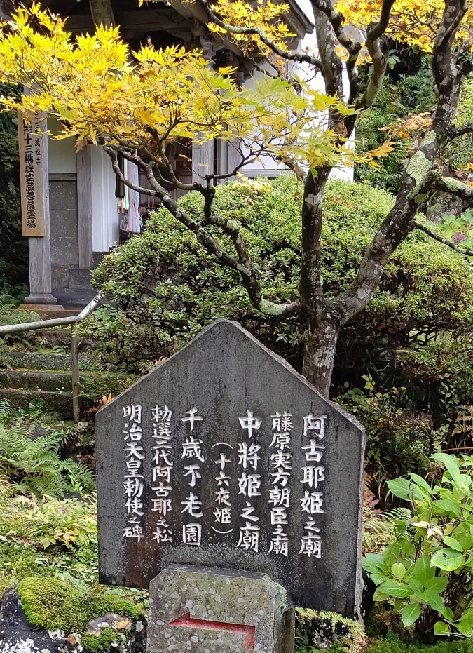 万松寺散策🌲