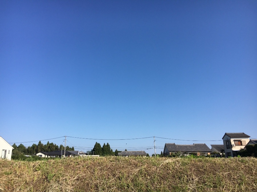 ⭕️空部→ 今日の空（≧∇≦）‼️878.