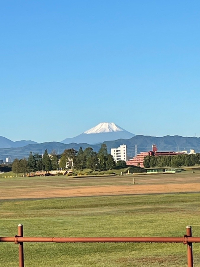 散歩の途中(๑>◡