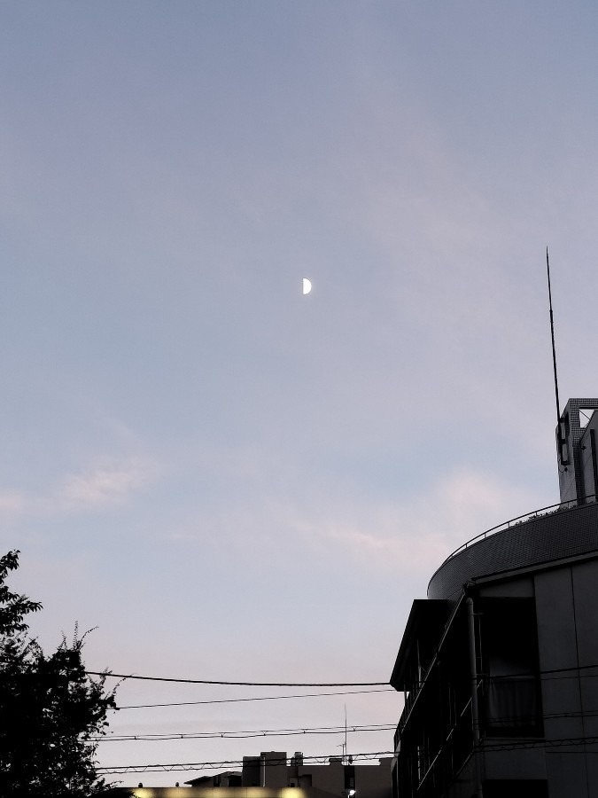半分🌓