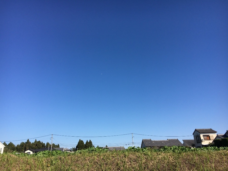 ⭕️空部→ 今日の空（≧∇≦）‼️897.