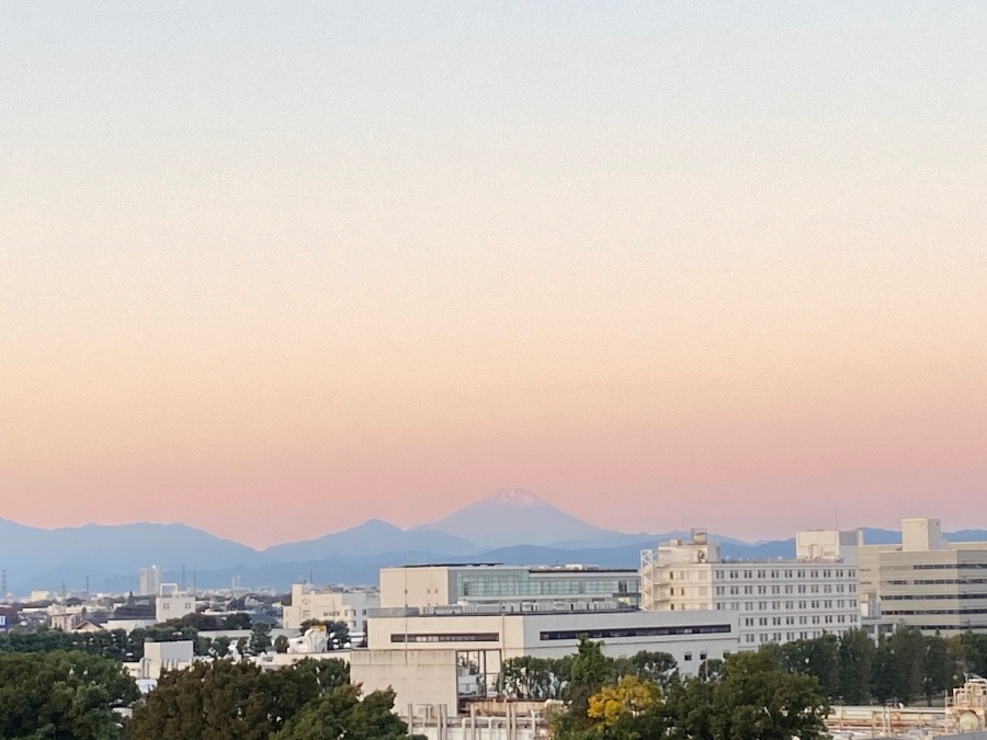 今朝の富士山