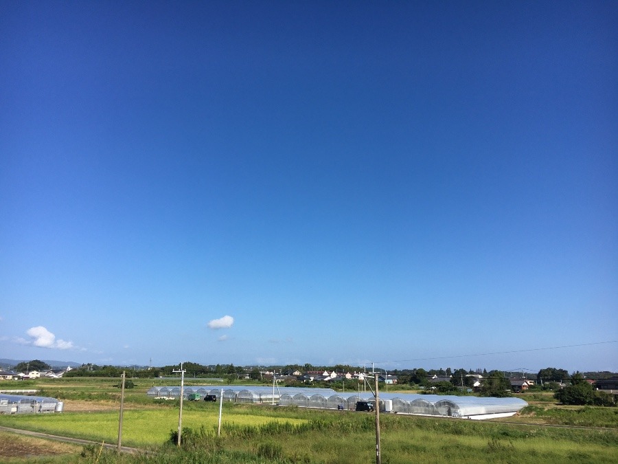 ⭕️空部→ 今日の空（≧∇≦）‼️877.