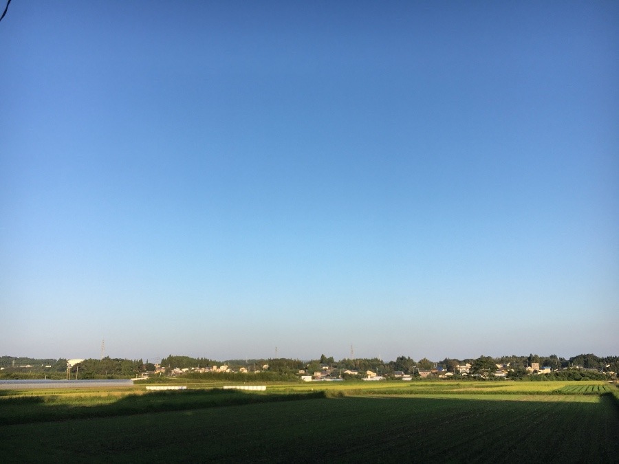 ⭕️空部→ 今日の空（≧∇≦）‼️876.