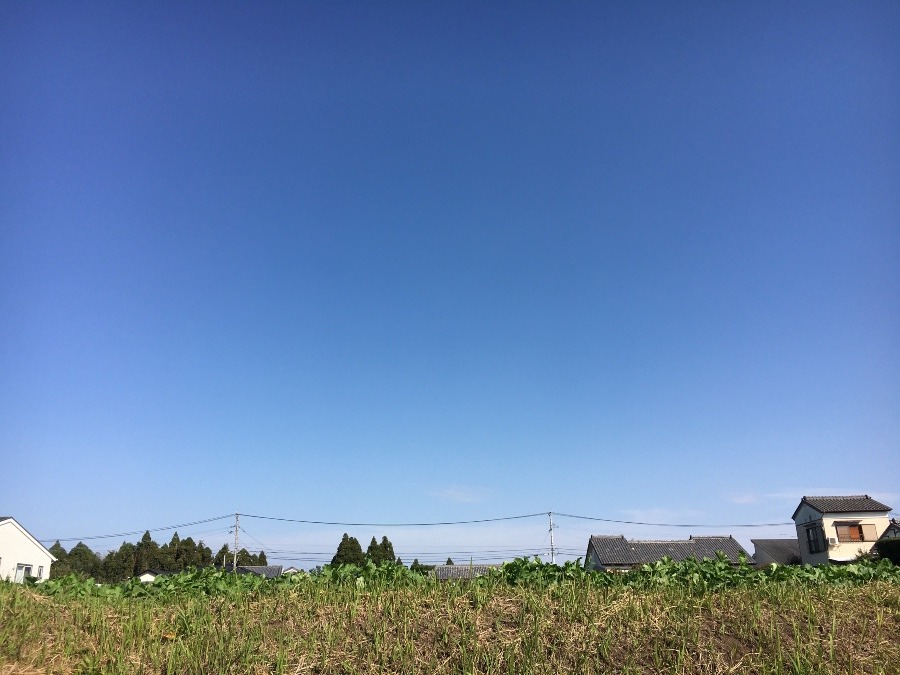 ⭕️空部→ 今日の空（≧∇≦）‼️899.