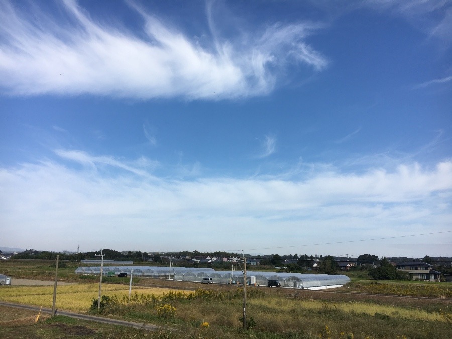 ⭕️空部→ 今日の空（≧∇≦）‼️896.