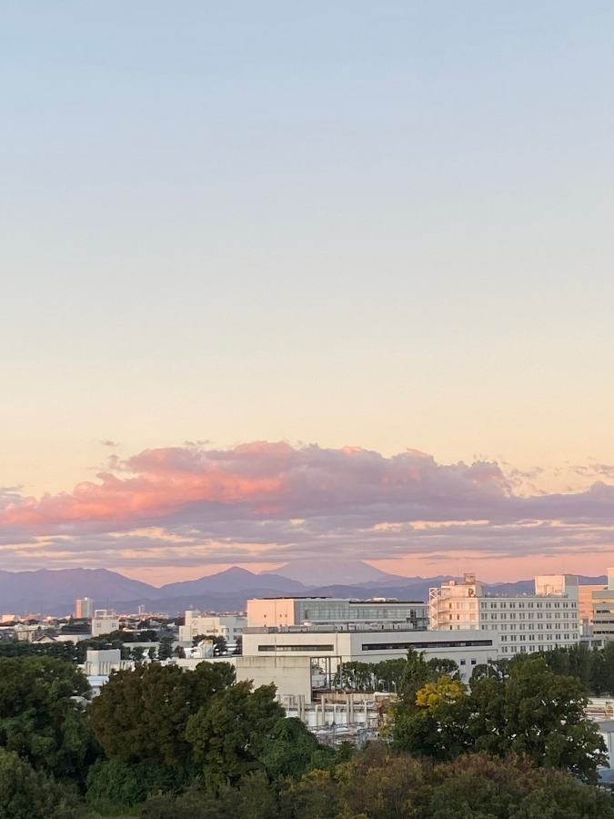 今朝の富士山