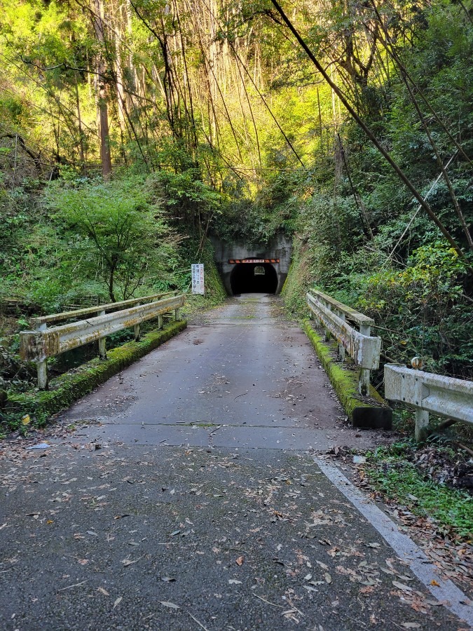 静岡県藤枝市の山中で見たトンネル