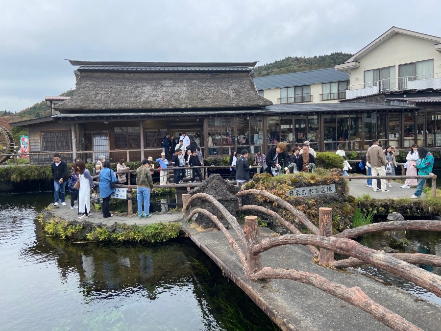 富士山からの湧水池　忍野八海　日本人観光客は一割