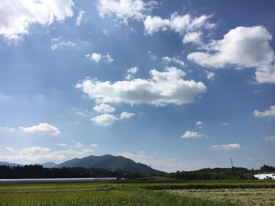 ⭕️空部→ 今日の空（≧∇≦）‼️882