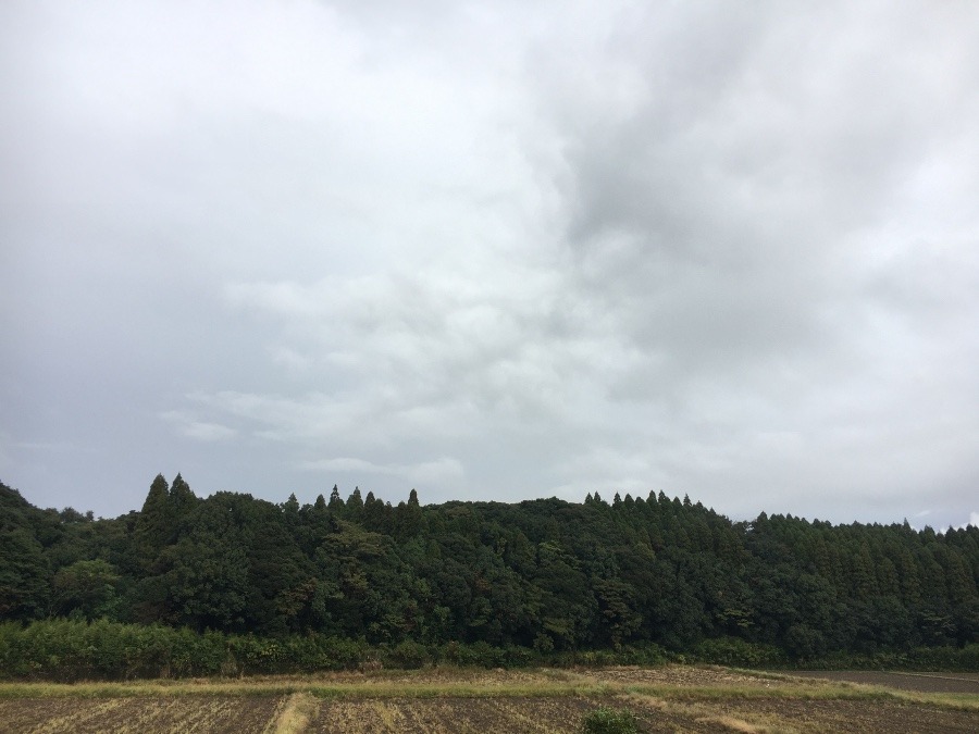 ⭕️空部→ 今日の空（≧∇≦）‼️932.