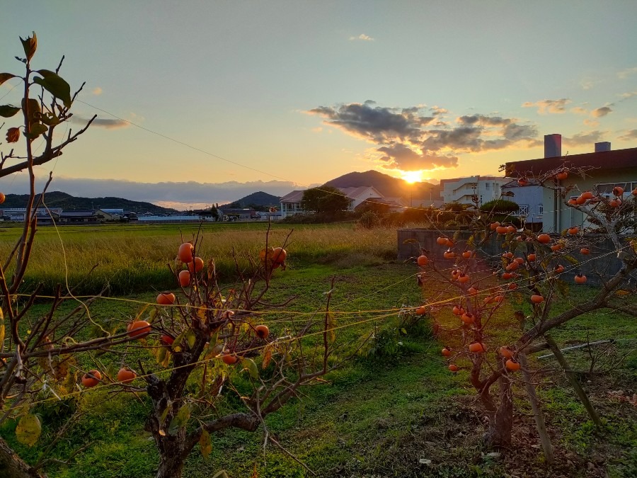 昨日の夕陽