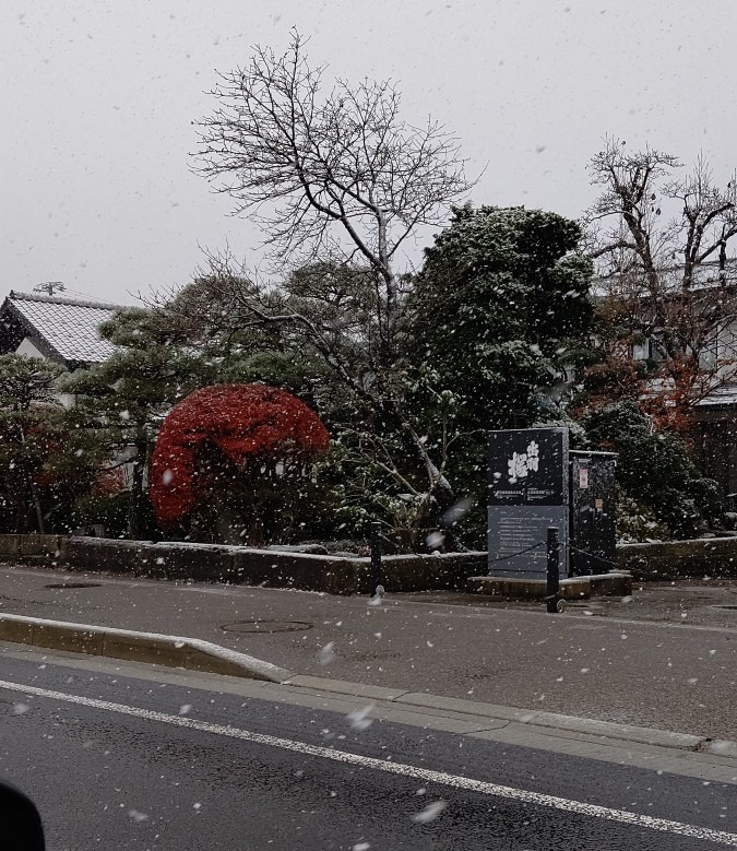 朝の通勤 雪❄️❄️❄️