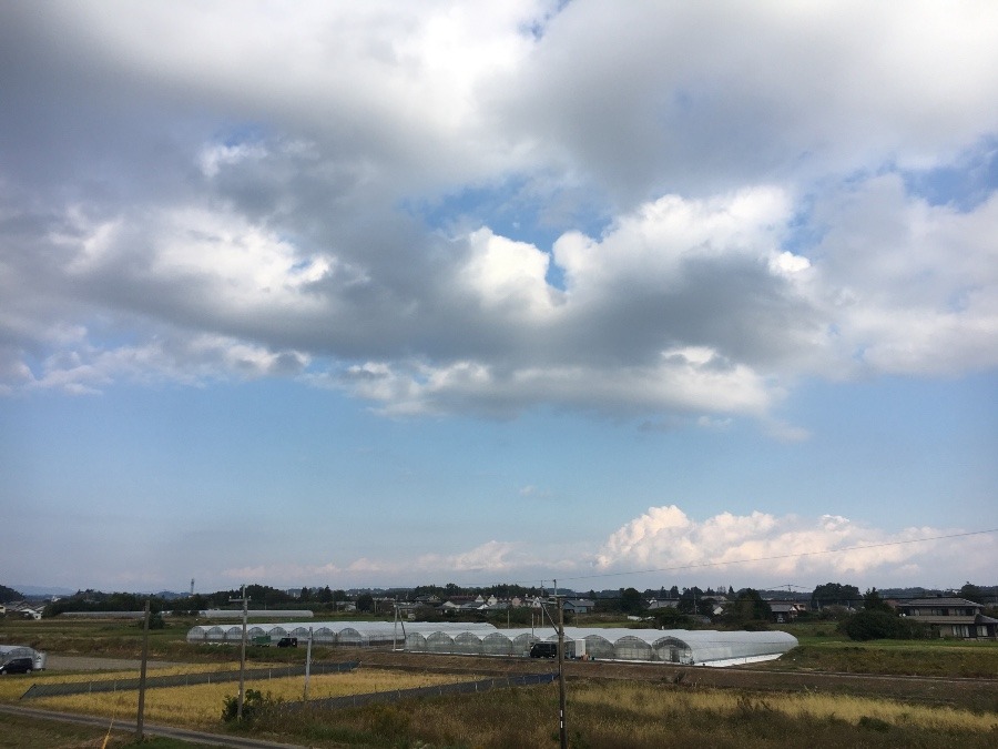 ⭕️空部→ 今日の空（≧∇≦）‼️914.