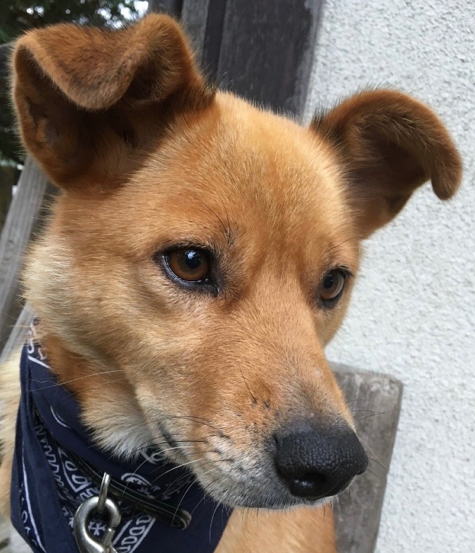 「愛玩動物飼養管理士」今日のまとめ