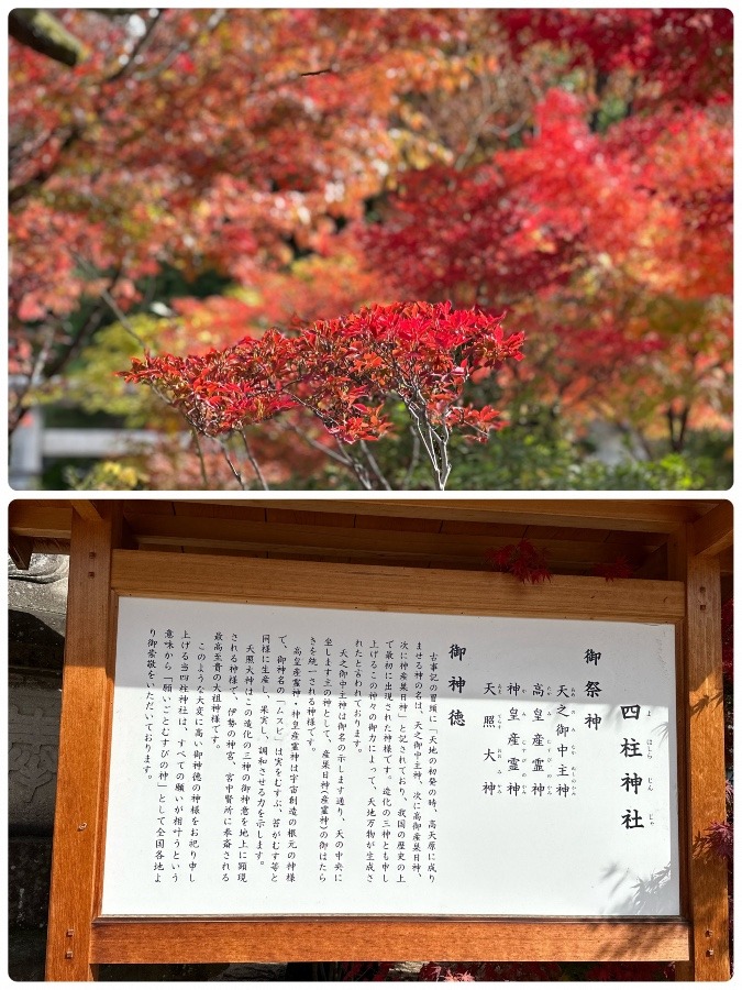 四柱神社(松本市)