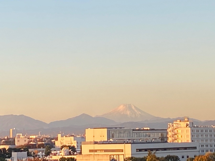 今朝の富士山