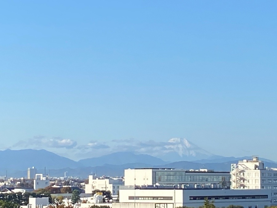 今朝の富士山