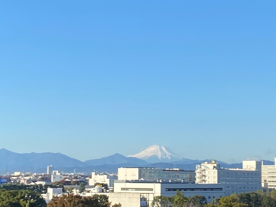 今朝の富士山