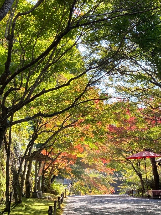 京都　大原三千院