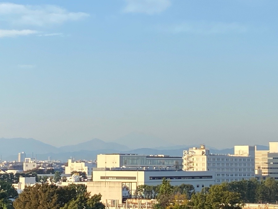 今朝の富士山