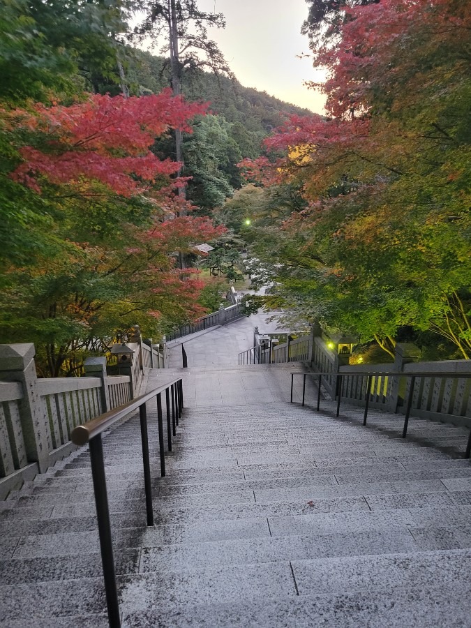 法多山尊永寺もみじまつり2023⑥