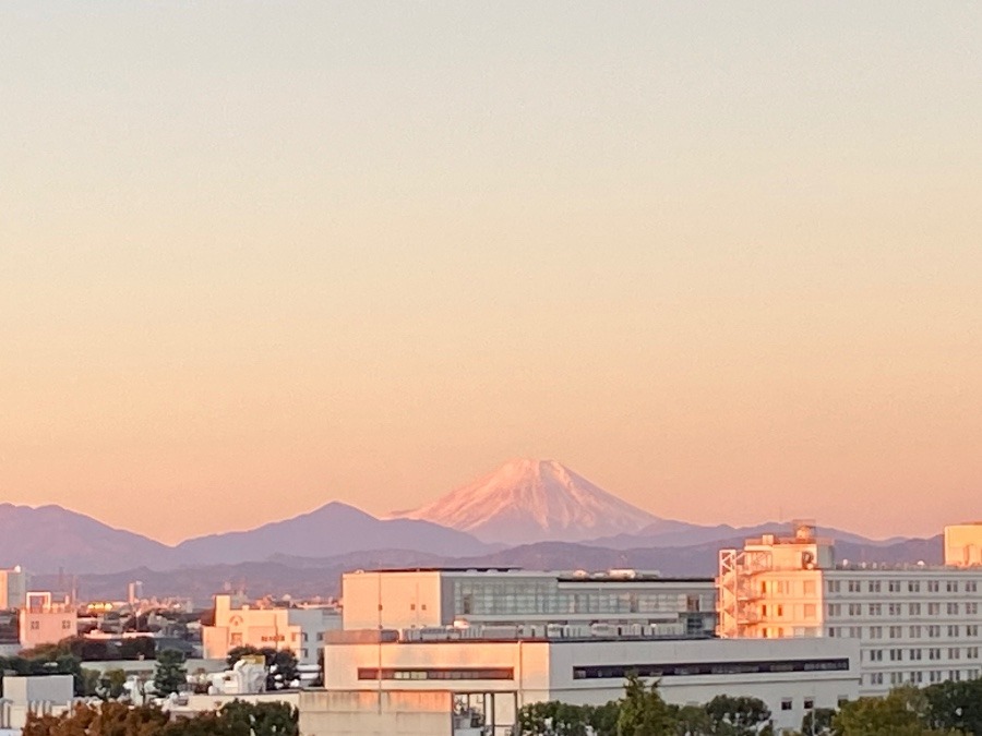 朝日の当たり始めるた　今朝の富士山　美しい