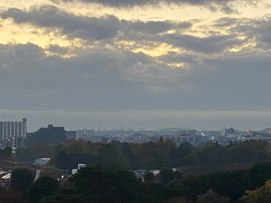 今朝の東の空は、雲と青空の空間