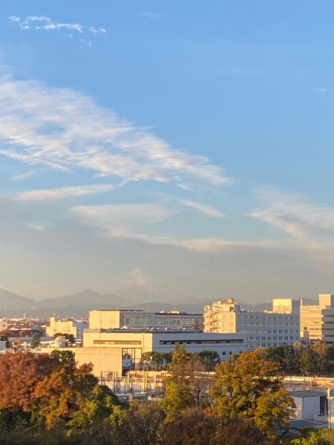 今朝の富士山