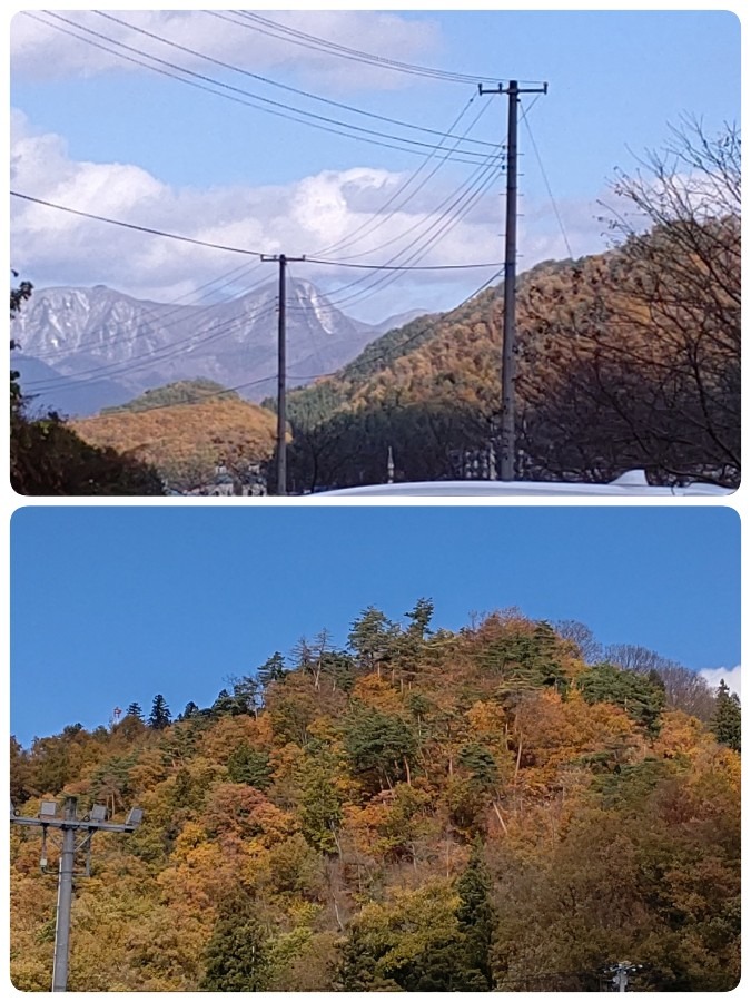 舞鶴山冬間近🍁