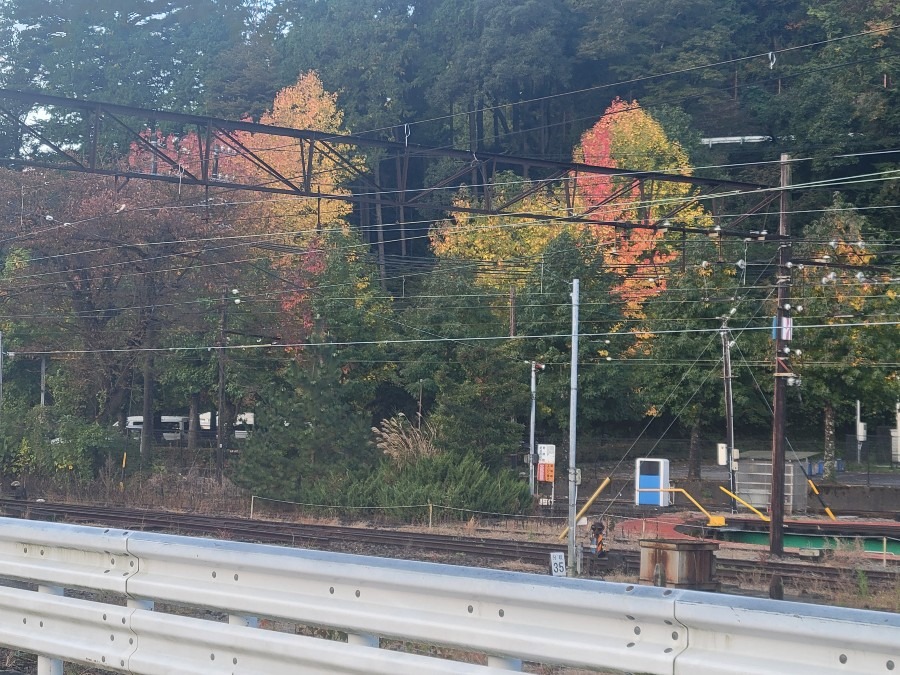 大井川鐵道千頭駅構内の転車台と銀杏