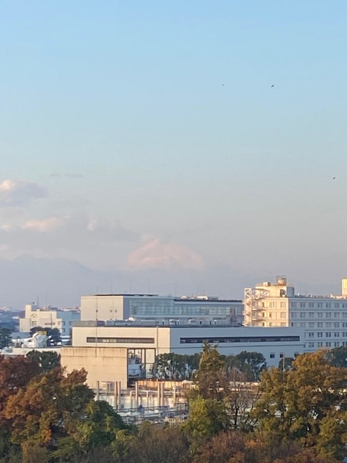 今朝の富士山