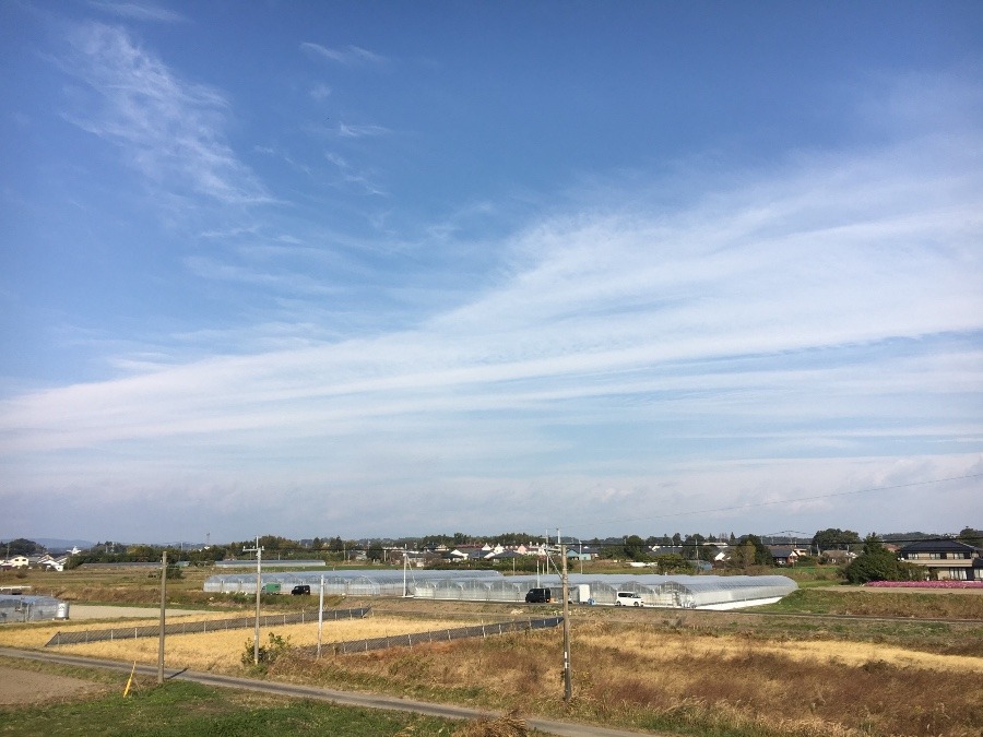 ⭕️空部→ 今日の空（≧∇≦）‼️945.