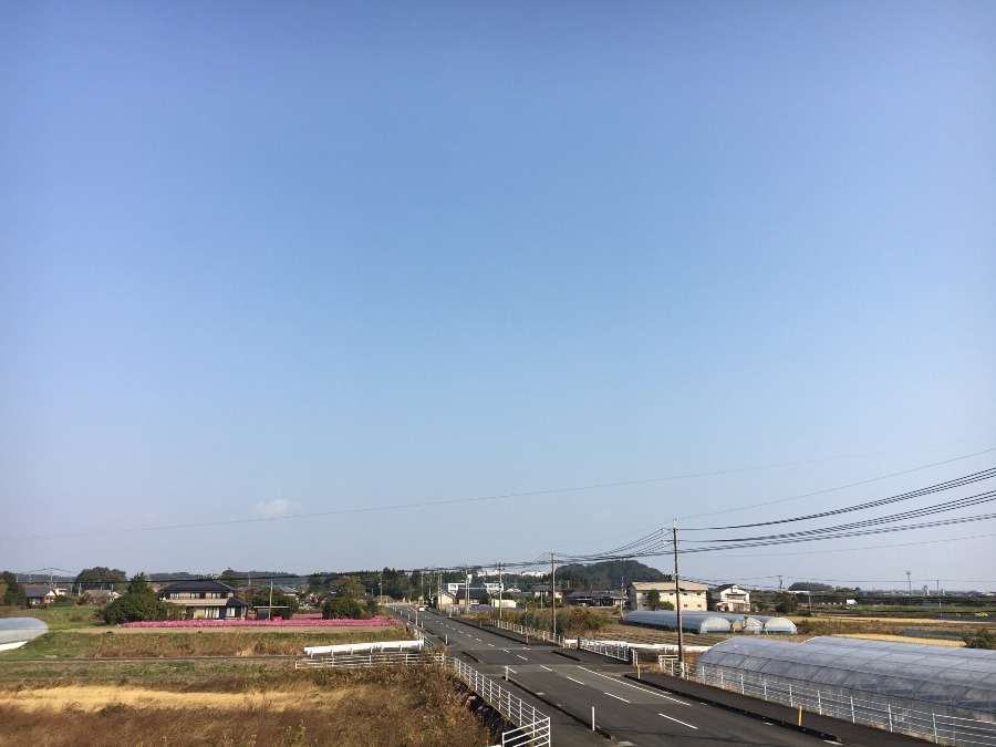 ⭕️空部→ 今日の空（≧∇≦）‼️944.