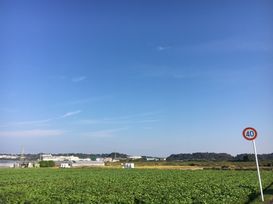 ⭕️空部→ 今日の空（≧∇≦）‼️911.